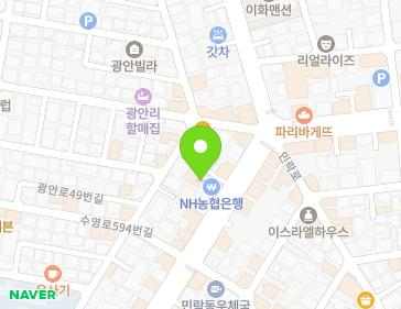 부산광역시 수영구 광남로 195 (광안동, 농협은행주식회사광안동지점) 지도