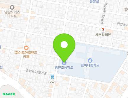 부산광역시 수영구 광안로35번길 42 (광안동, 광안초등학교) 지도