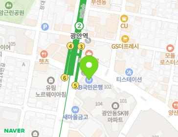 부산광역시 수영구 광안로 4 (광안동, 광안동에스케이뷰) 지도