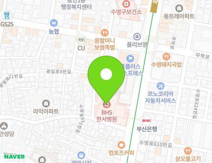 부산광역시 수영구 수영로 615 (광안동, BHS한서병원) 지도