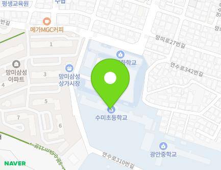 부산광역시 수영구 연수로310번길 91 (망미동, 수미초등학교) 지도