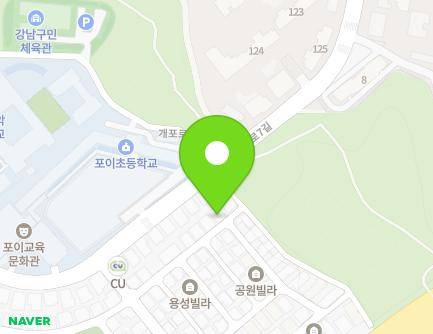 서울특별시 강남구 논현로8길 67 (개포동, Artespace) 지도