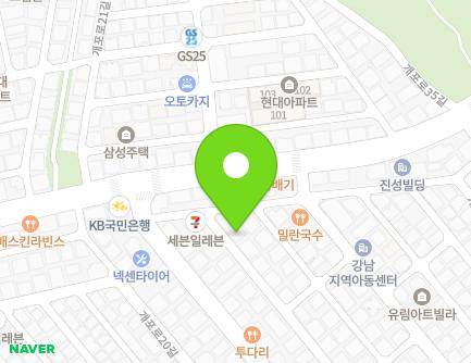 서울특별시 강남구 개포로24길 9 (개포동, 노블레스) 지도