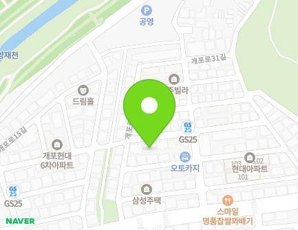 서울특별시 강남구 개포로25길 13-9 (개포동, 베네세하우스) 지도