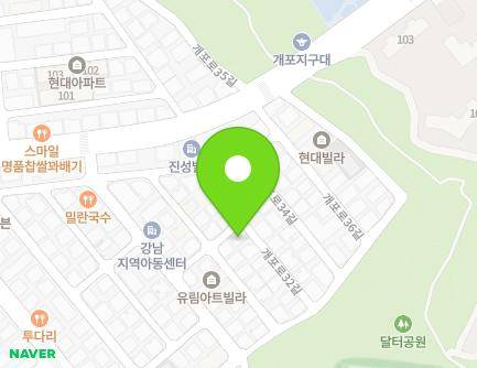 서울특별시 강남구 개포로32길 14 (개포동, 로하스빌) 지도