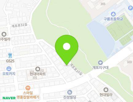 서울특별시 강남구 개포로35길 7 (개포동, 동산빌리지) 지도