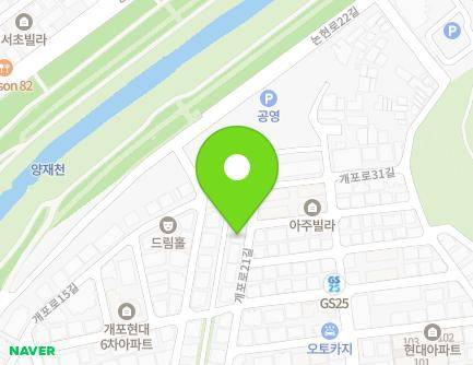 서울특별시 강남구 개포로21길 23 (개포동, 파라곤빌) 지도