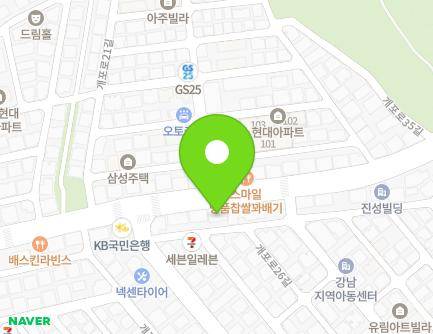 서울특별시 강남구 개포로 234 (개포동, 흥진빌딩) 지도