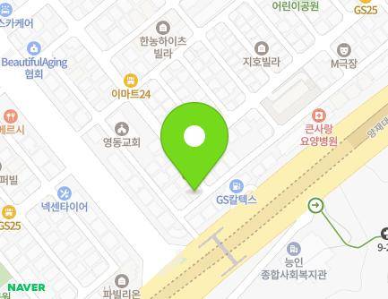 서울특별시 강남구 논현로2길 9 (개포동) 지도