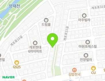 서울특별시 강남구 개포로17길 14 (개포동) 지도
