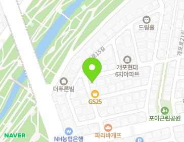 서울특별시 강남구 개포로15길 14 (개포동) 서울특별시 강남구 개포로15길 14 (개포동) 지도