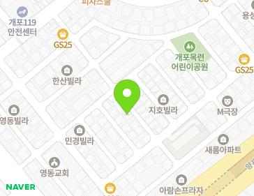 서울특별시 강남구 논현로6길 22-6 (개포동) 지도