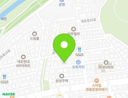 서울특별시 강남구 개포로25길 9-8 (개포동) 지도