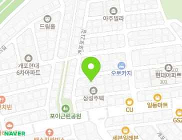 서울특별시 강남구 개포로25길 9-9 (개포동) 지도