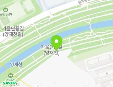 서울특별시 강남구 양재천동자전거길 217 (개포동) 지도