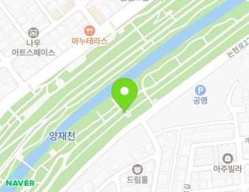 서울특별시 강남구 양재천동자전거길 355 (개포동) 지도