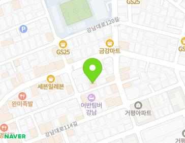 서울특별시 강남구 강남대로116길 33 (논현동, 주은빌) 지도