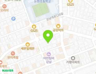 서울특별시 강남구 강남대로116길 33-1 (논현동) 지도