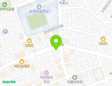 서울특별시 강남구 강남대로118길 46 (논현동) 지도