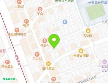 서울특별시 강남구 강남대로120길 12-1 (논현동) 지도