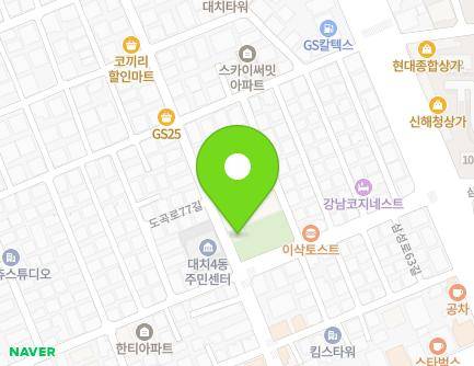 서울특별시 강남구 도곡로77길 22 (대치동) 지도
