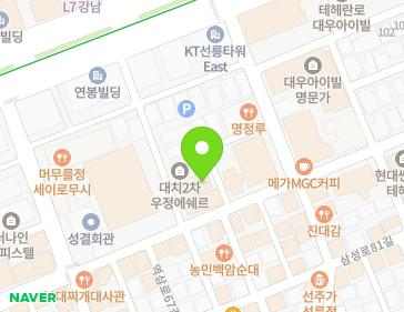 서울특별시 강남구 테헤란로70길 14-12 (대치동) 지도