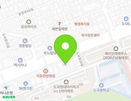 서울특별시 강남구 도곡로 224 (도곡동) 지도