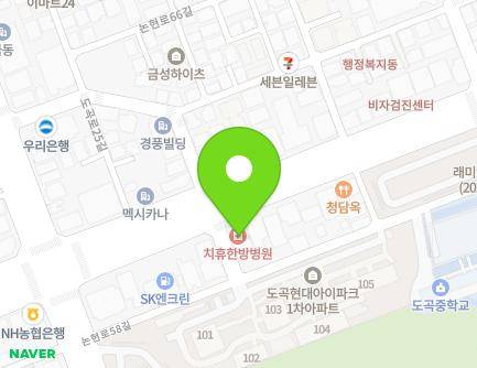 서울특별시 강남구 도곡로 216 (도곡동, 치휴한방병원) 지도