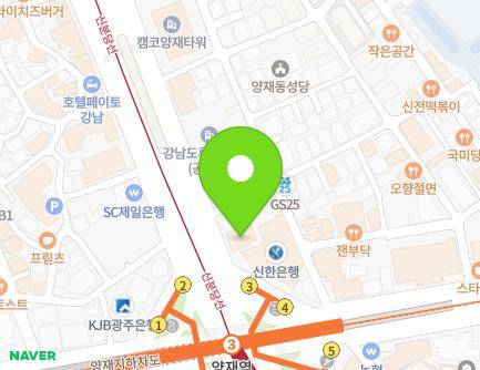 서울특별시 강남구 강남대로 242 (도곡동, 크리스탈빌딩) 지도