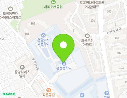 서울특별시 강남구 남부순환로359길 36 (도곡동, 은광여자고등학교,은성중학교) 지도