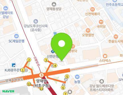 서울특별시 강남구 강남대로 238 (도곡동, 스카이쏠라빌딩) 지도