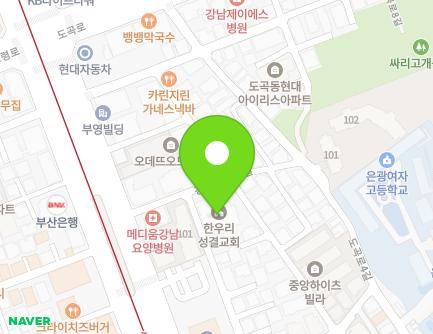 서울특별시 강남구 강남대로54길 10 (도곡동, 교회) 지도