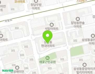서울특별시 강남구 학동로64길 14 (삼성동, 현대아파트101동) 지도
