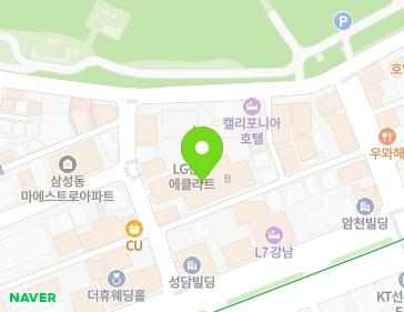 서울특별시 강남구 테헤란로63길 12 (삼성동, LG 선릉에클라트 B) 지도