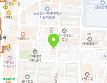 서울특별시 강남구 압구정로34길 34 (신사동, 성우 에스) 지도