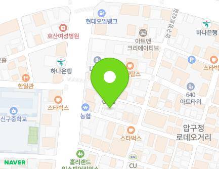 서울특별시 강남구 언주로170길 5 (신사동, 자생한방병원) 지도