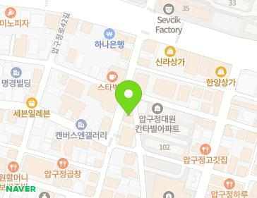 서울특별시 강남구 압구정로46길 15 (신사동) 지도