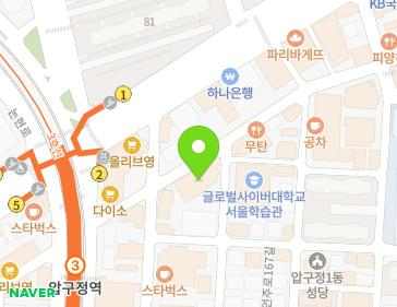 서울특별시 강남구 논현로176길 14 (신사동) 지도