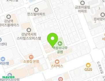 서울특별시 강남구 강남대로62길 23 (역삼동) 지도