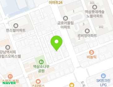 서울특별시 강남구 강남대로62길 35-3 (역삼동) 지도