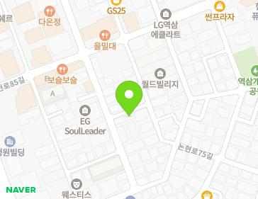 서울특별시 강남구 테헤란로14길 33-4 (역삼동) 지도