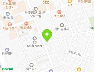 서울특별시 강남구 테헤란로14길 35 (역삼동) 지도