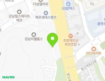 서울특별시 강남구 밤고개로 234 (율현동) 지도