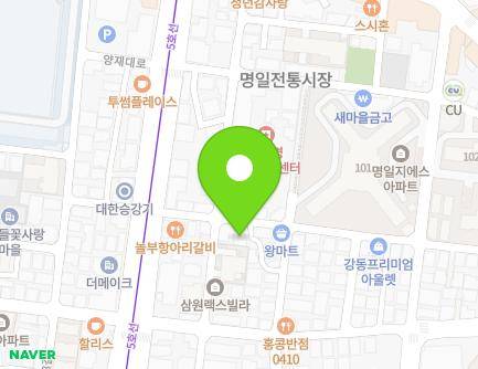서울특별시 강동구 양재대로136길 16 (명일동, 청포도하우스) 지도