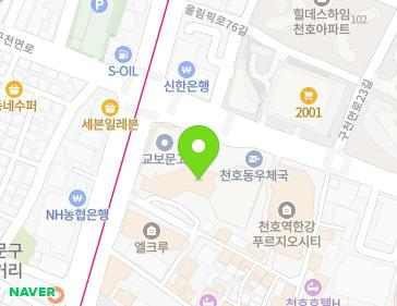 서울특별시 강동구 올림픽로 664 (천호동, 대우한강베네시티) 지도
