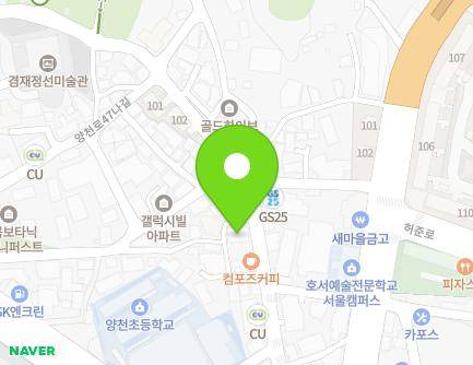 서울특별시 강서구 양천로49길 47 (가양동, 다솔씨티하임) 지도