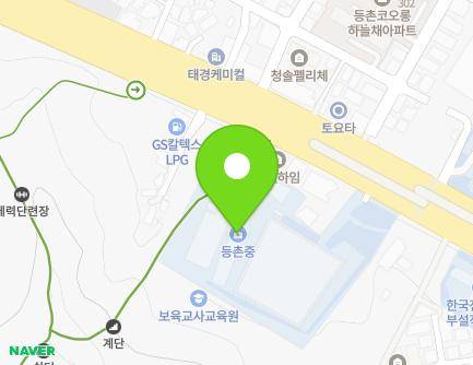 서울특별시 강서구 공항대로 484-12 (등촌동, 등촌중학교) 지도