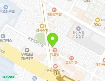 서울특별시 강서구 공항대로59길 16 (등촌동) 지도