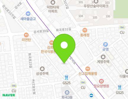 서울특별시 강서구 강서로 193 (화곡동) 지도