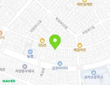 서울특별시 광진구 뚝섬로57가길 33 (자양동) 지도